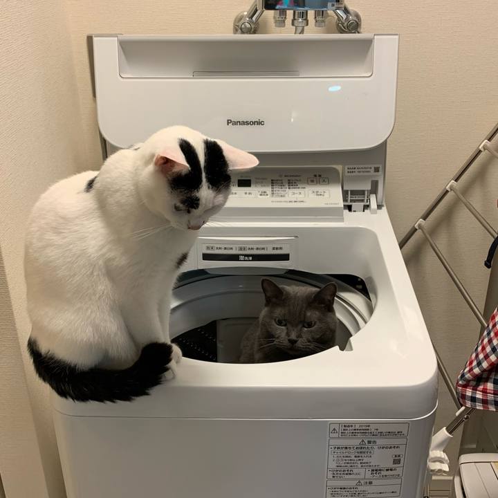 29a29484 2cce 468b 99af 9f7015e07398 1667516961561