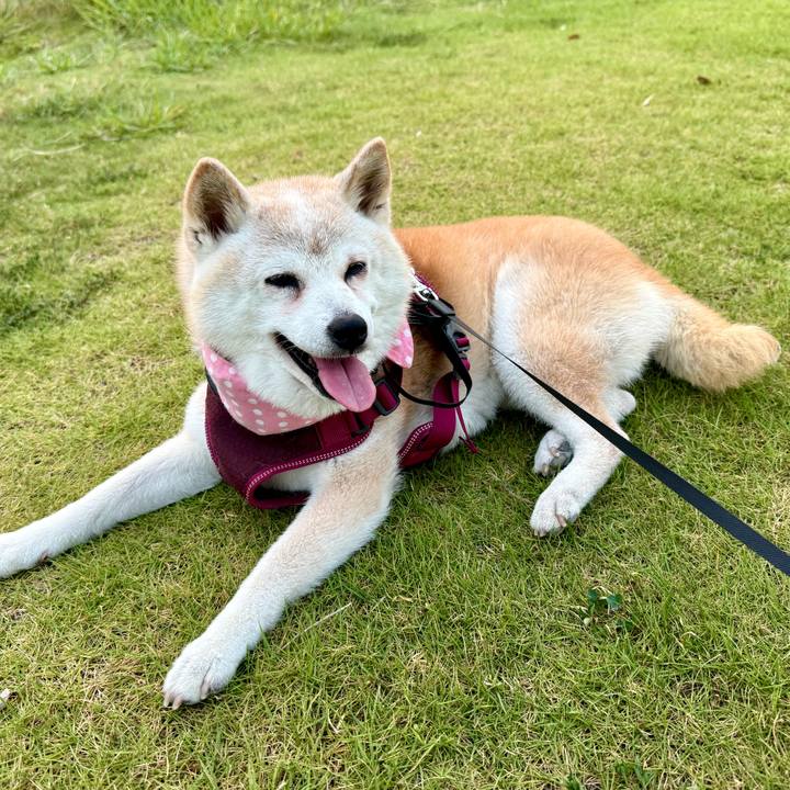 29a2efc7 9c02 491e 97ff 45aa6da14ba7 1754842985773