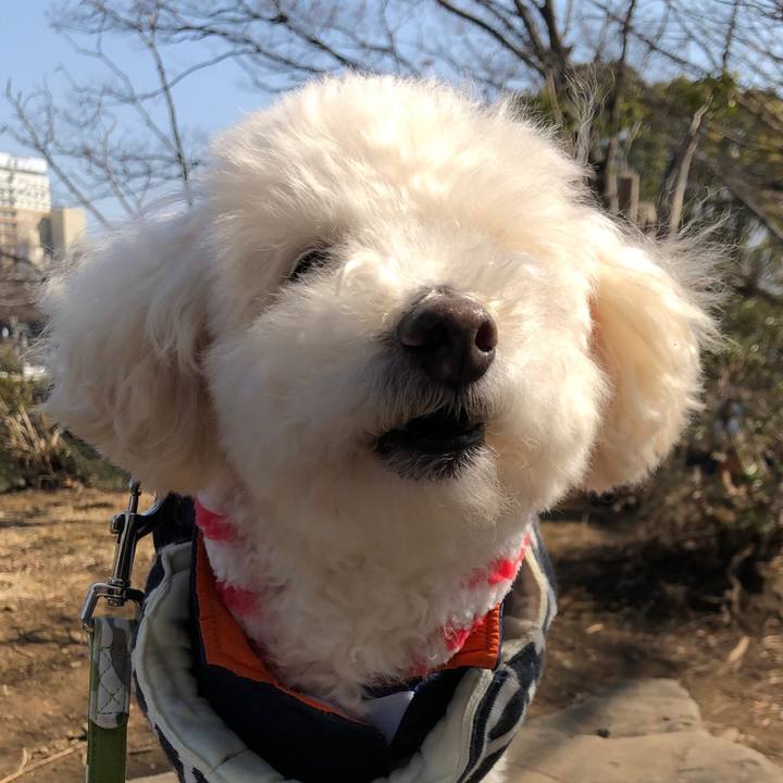 29a2f44d e33a 4cdb 89cd 60737fad824b 1550843727111