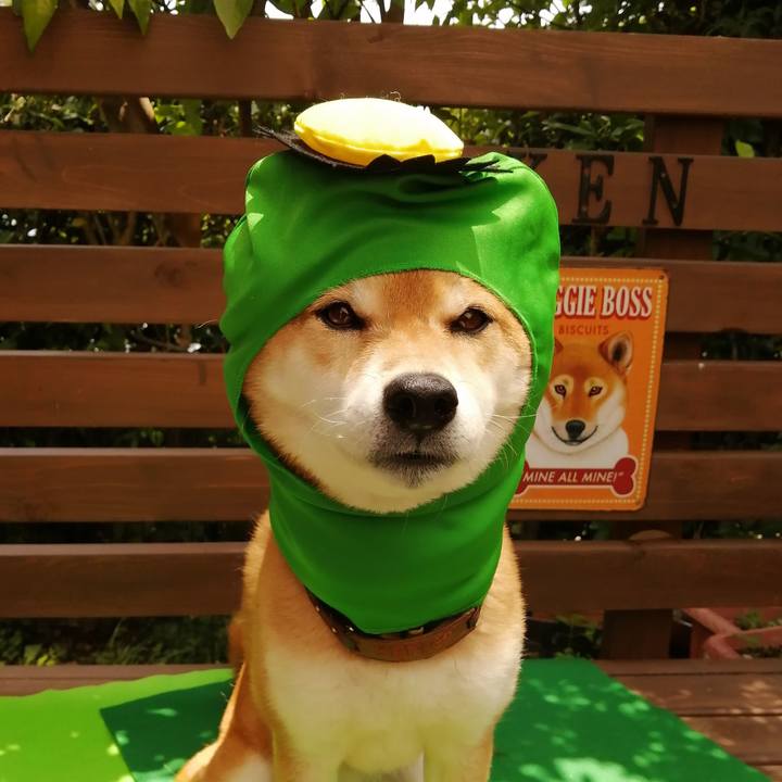 29a30f36 0ec1 467d a102 2f9afeb254c3 1623378453727