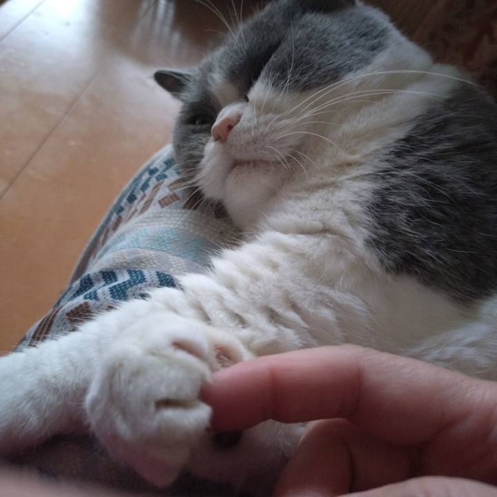 29a33511 2534 48eb aec2 a859f18e014e 1774168372499