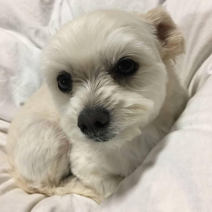 29a346fd 278b 40dd 93a3 ce9a6c00cc1c 1557224257594