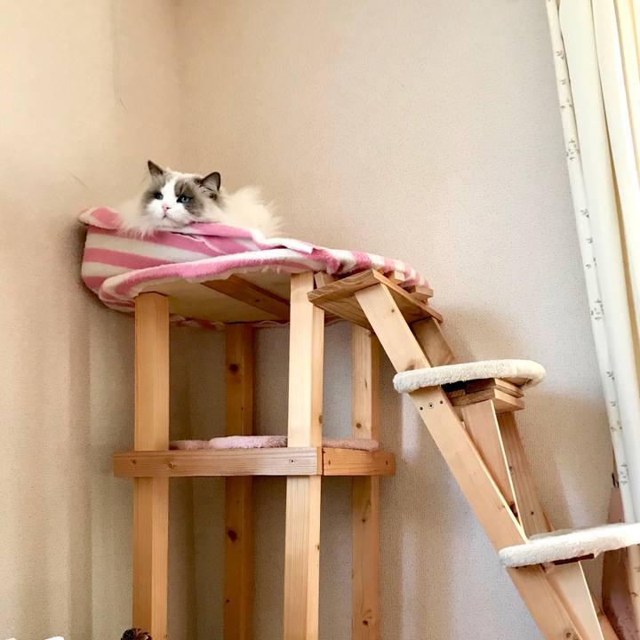 29a3514f 555d 4dca b6d7 be1105eb9a41 1581037959262