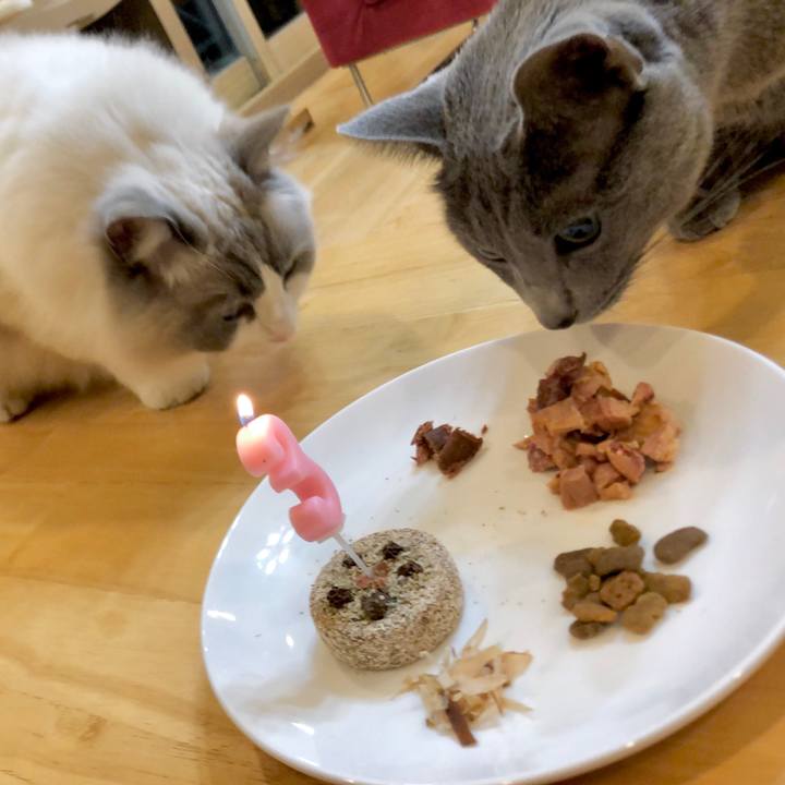 29a3866e 2fc2 4ba1 88e2 e6a865102226 1609762068521