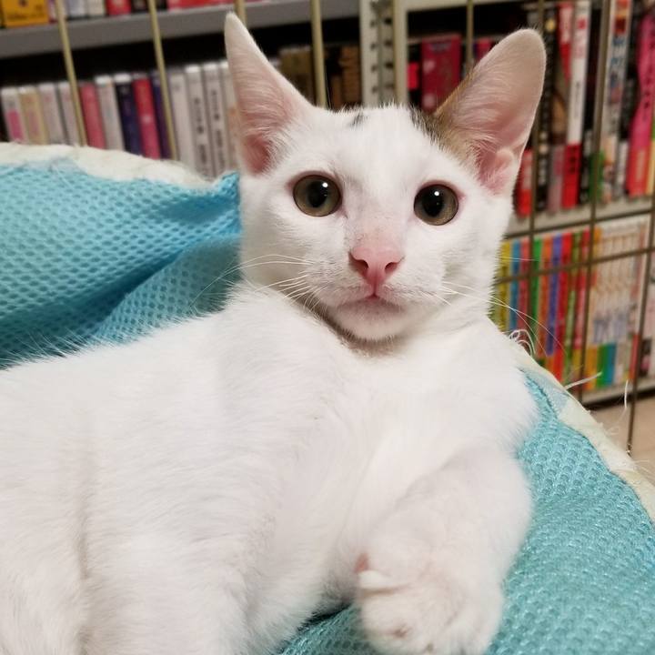 29a397c2 579d 46be 83ac 60438660d674 1508333182034