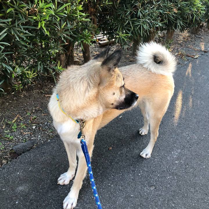 29a3b099 59d6 4598 b3eb a0ddda3f78d6 1541073900106