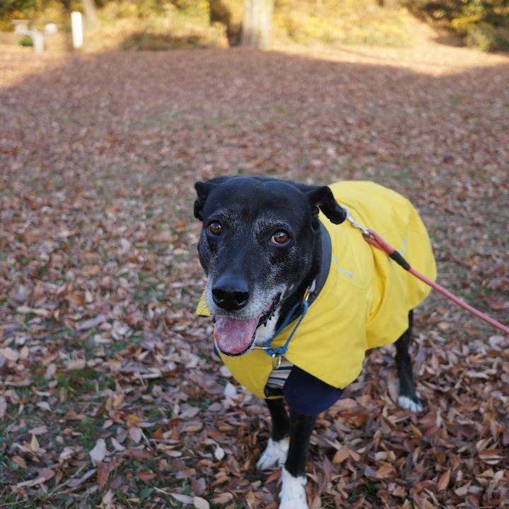 29a3c7b0 f2b9 4574 90f4 e14e8f18ce5f 1765589294511