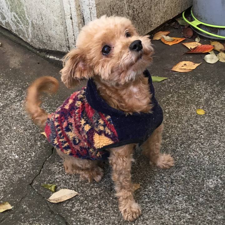 29a3d831 57c5 4e61 af97 584538c84570 1512775396645