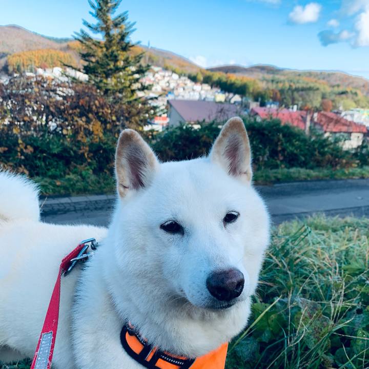 29a40257 4c0b 4823 bdd7 e0071c8c6ba0 1636089590865