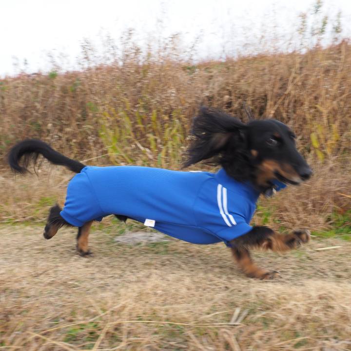 29a40745 b9e2 44fa a9aa c2a392e2ff5e 1607844160144