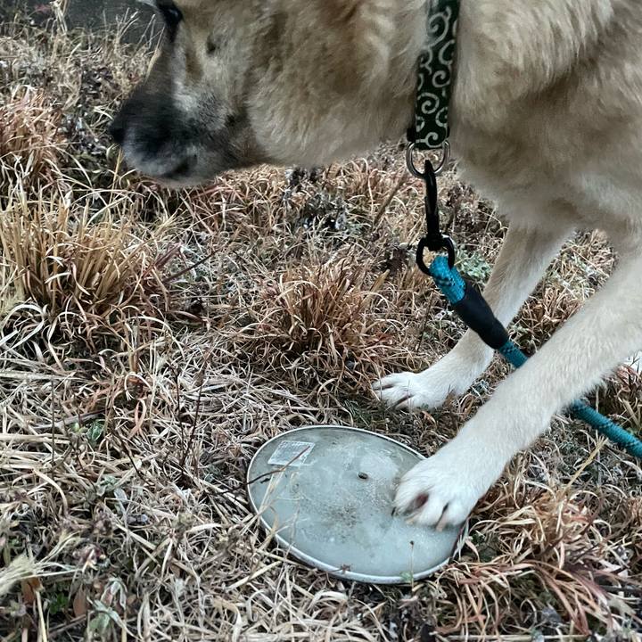 29a40cb4 bb32 434a 8736 8c99f38256a5 1675689101285