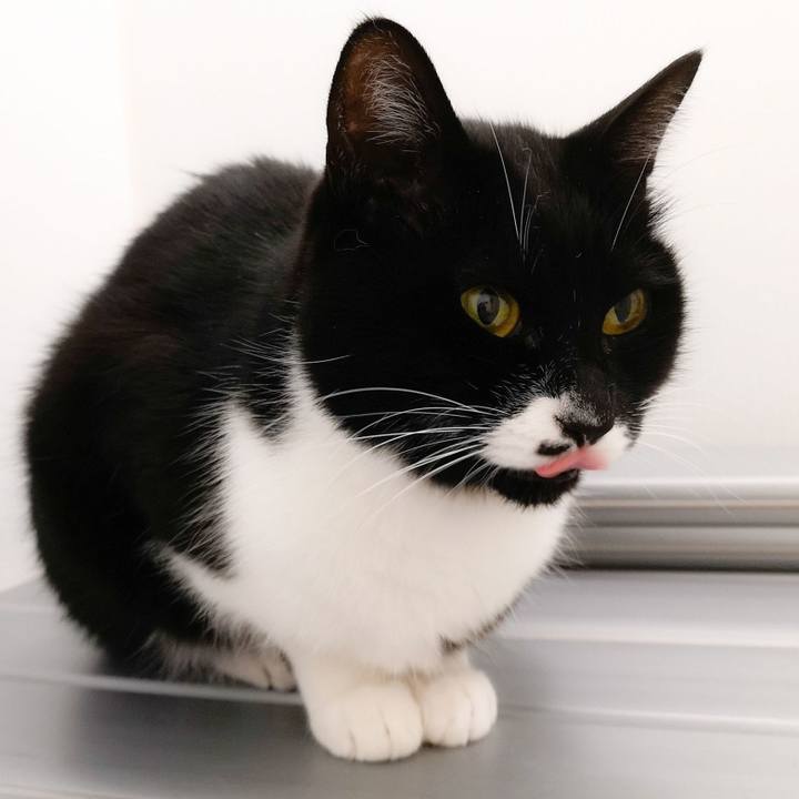 29a41f5b b280 4acd 86b7 5a197944abae 1551740337479