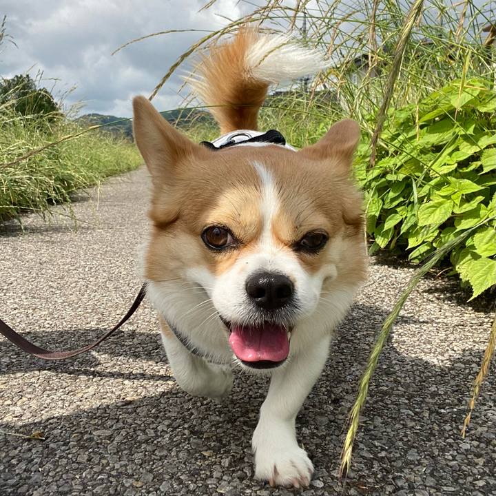 29a422f8 12c4 4b73 bf70 d4e9409752f1 1653633174588