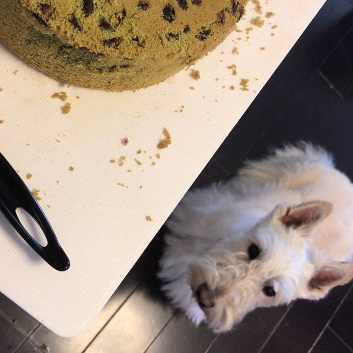 29a43a97 b70d 46ae ae24 9963260697a8 1522463215300