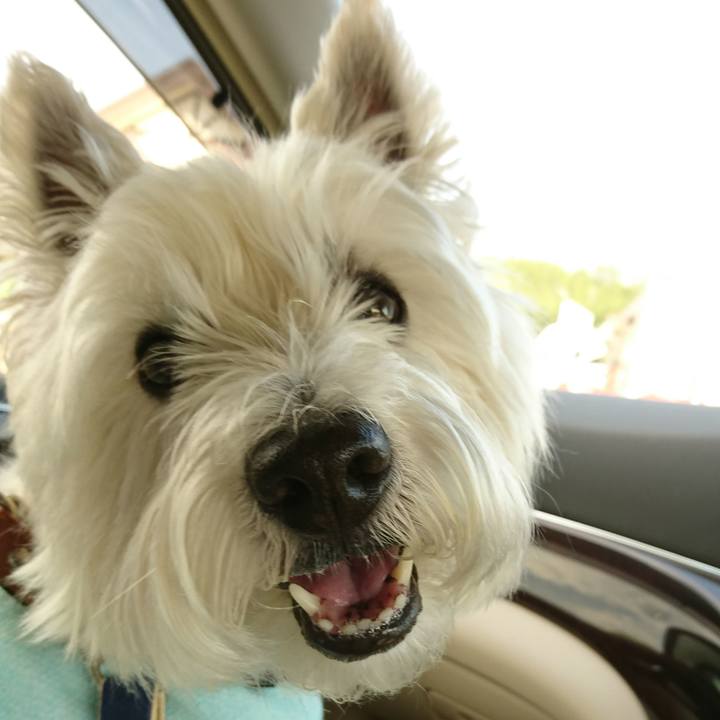 29a43c88 0de2 4bb1 944a f87929f56bdf 1528550476604