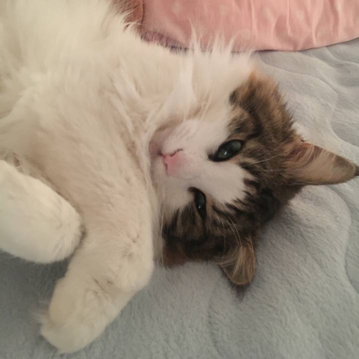 29a44c64 cd90 4636 bfdd 43add2c27bef 1549452698913