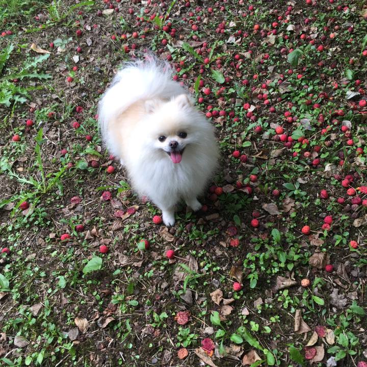 29a46a15 df35 4d32 9528 62c50feac18f 1537416318105