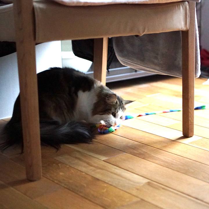 29a46b3a 773b 40fe a559 4063e16746b9 1575698297838