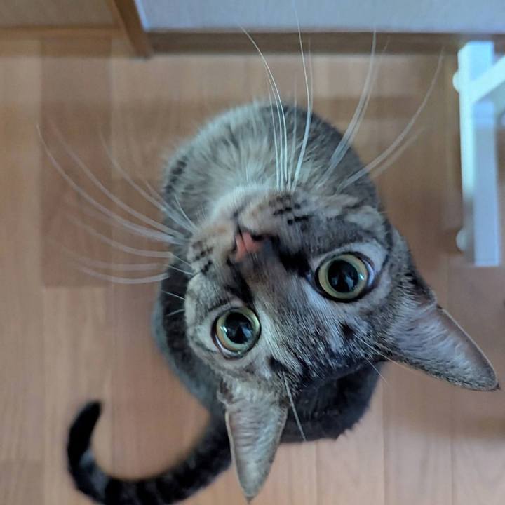 29a4ac59 a347 4658 9363 c479a64c0353 1763531124703