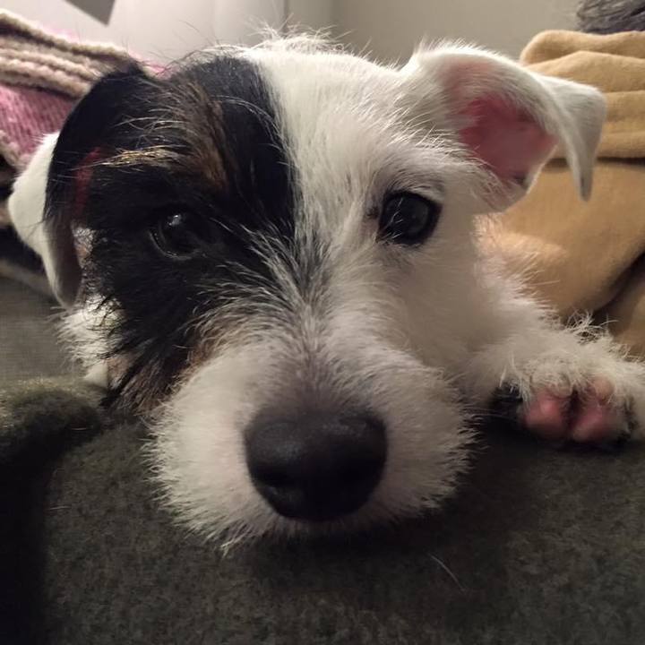 29a4d1d8 e9c5 4bfe b445 70cde7619ffa 1614660644717