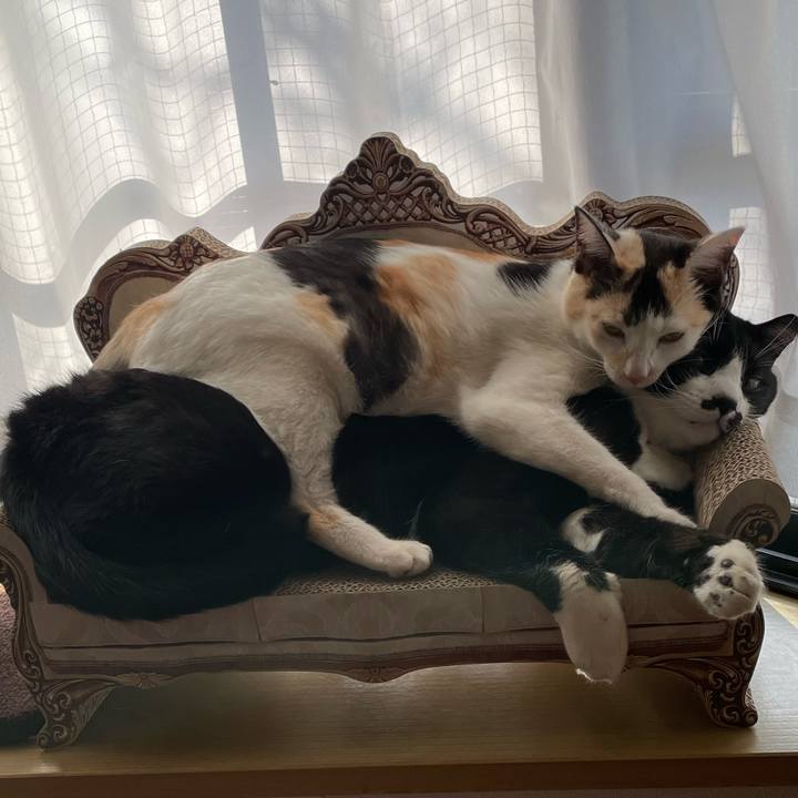 29a4fe12 e8a0 4869 a37a 09c63242a075 1678144638795