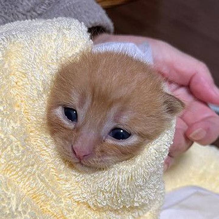 29a51ba4 f72f 4a35 b856 8611aec9d7d8 1739145953509