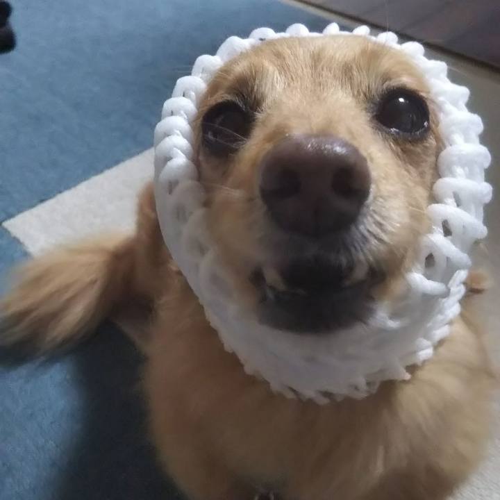 29a52283 b775 4dc4 b22b 63733026cc70 1628665313580