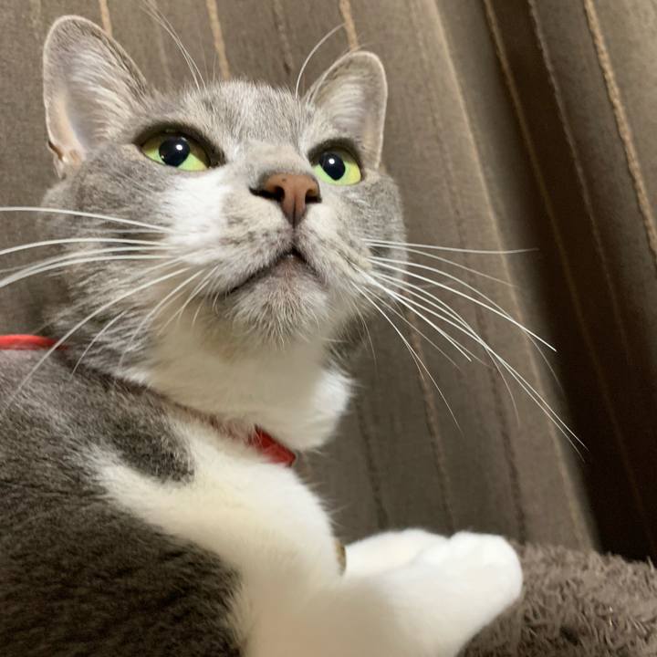 29a52470 1114 46cc ae49 ecb2bbc399f7 1582468662233