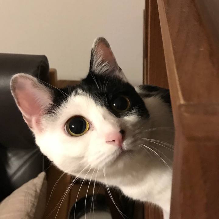 29a54109 e73c 4717 b1d0 f85f3663cb85 1528242179450