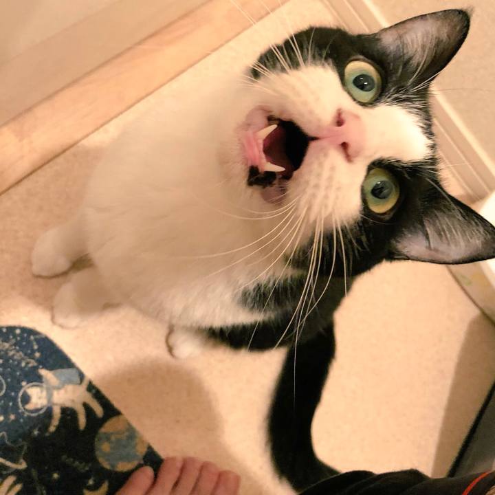 29a563ef 183a 4dfe a6fb 8b0d2bd4d763 1537888845835