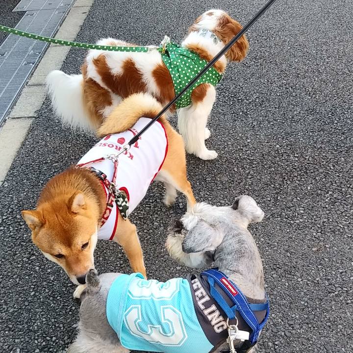 29a59964 d035 4310 aa30 088993f64fec 1626924430916