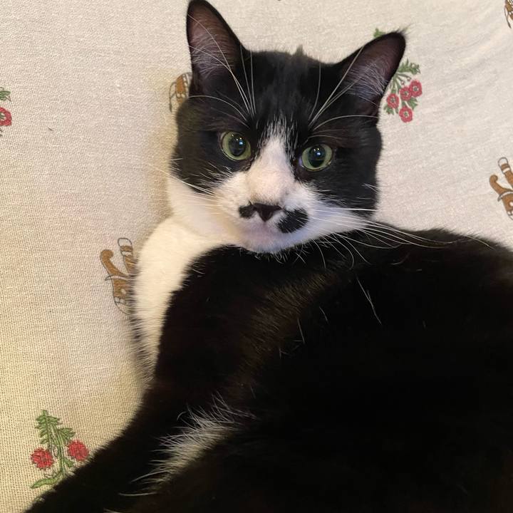 29a5ad41 cf21 47d8 b383 c556bc822b03 1660316175634