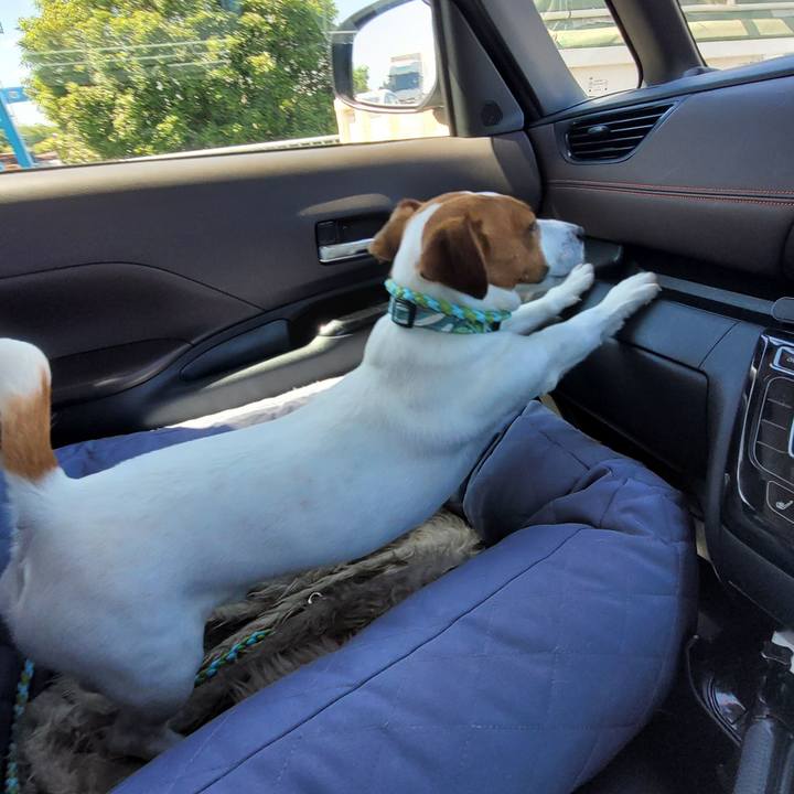 29a5c0d3 1508 46b2 ba8b 8397b9377f4a 1716971458090