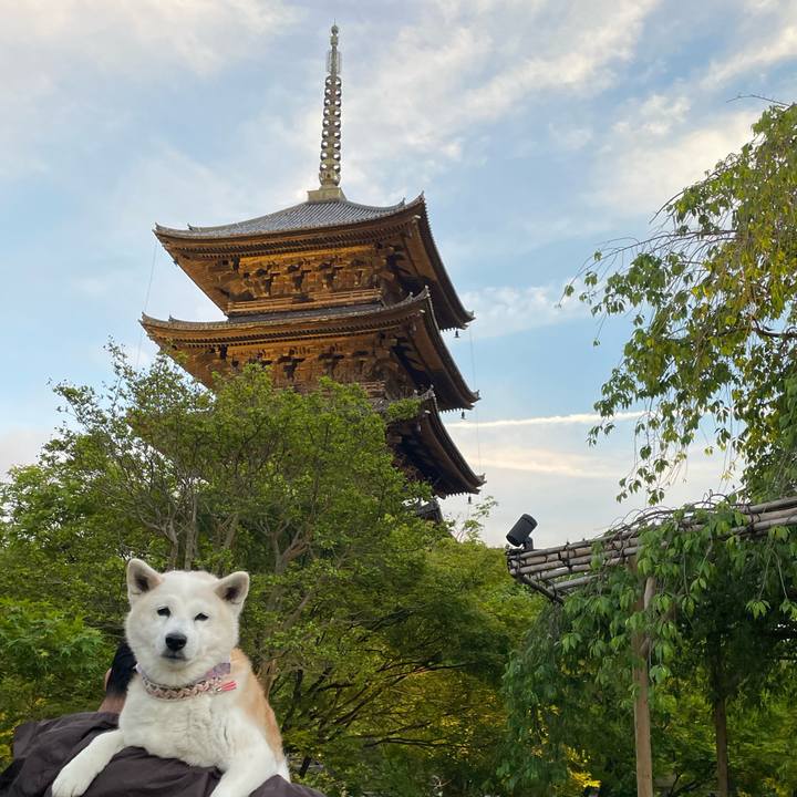 29a5ea69 9854 4934 b214 b7a11b700cc3 1682854230654