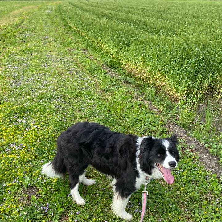 29a5ed4a e3c7 4d47 ad34 7308862dd0f3 1712453970740