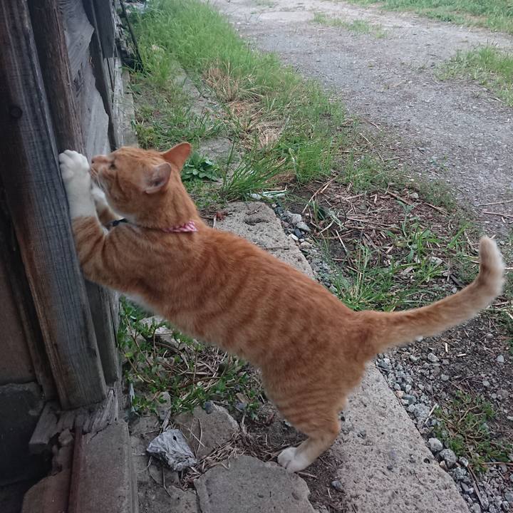 29a61477 ebc5 43d7 a0e8 94887f5866fc 1599641215837