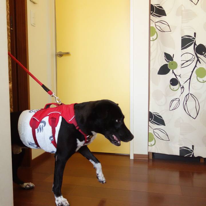 29a6148b 418f 46b6 8840 2069de0226a1 1601265729004