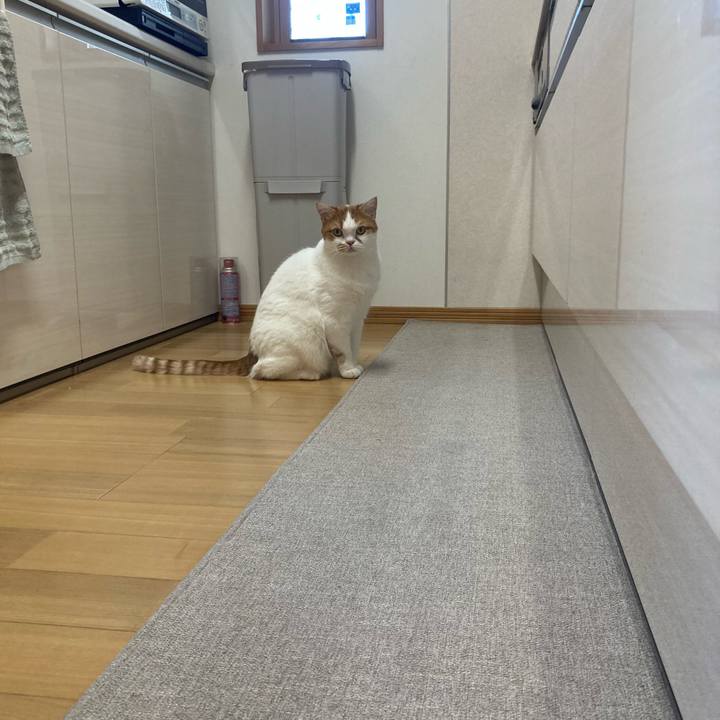 29a685d2 d520 4f0d 9d70 e053bbcc9f1c 1766728722320