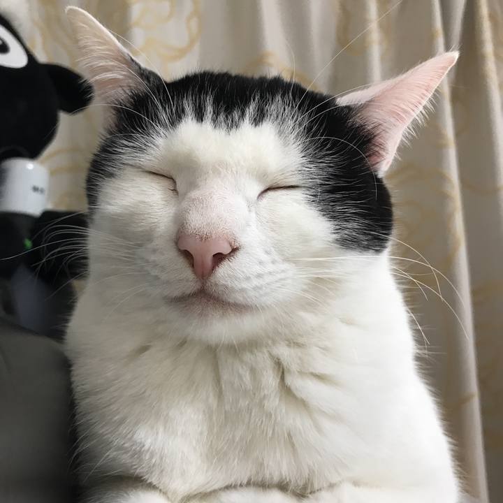 29a71228 34ec 4e1d 90ad 706ed0271517 1517548709581