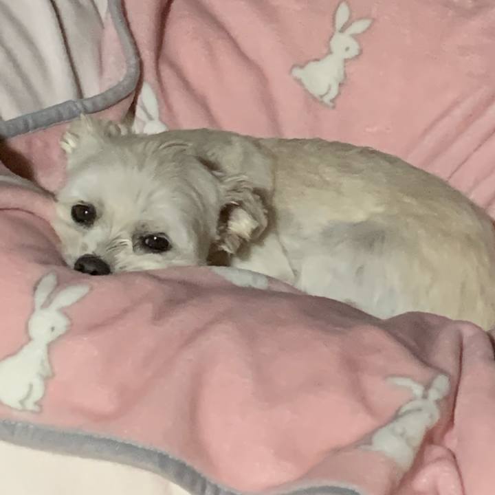 29a712b5 f74a 4551 b9c4 8c594de190d6 1642331557783