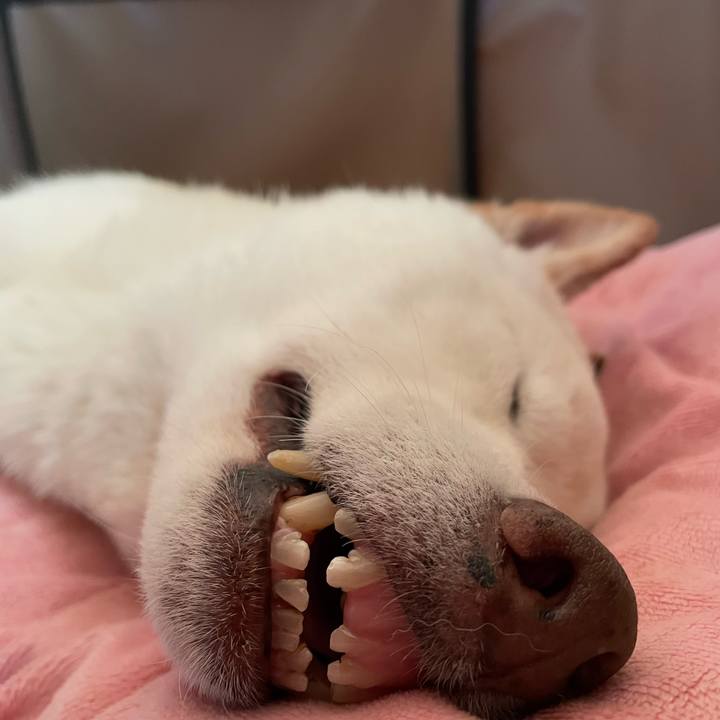 29a723ab 9db8 4257 bab7 03379cbb6876 1658535549722