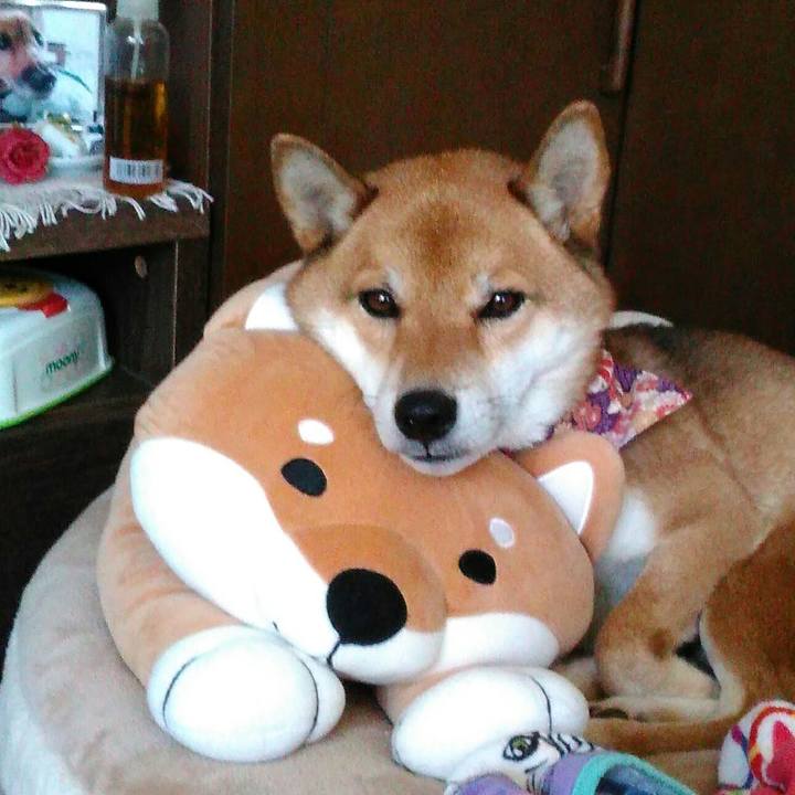 29a74241 f28e 480f 8019 c2e823de1b41 1510195144658