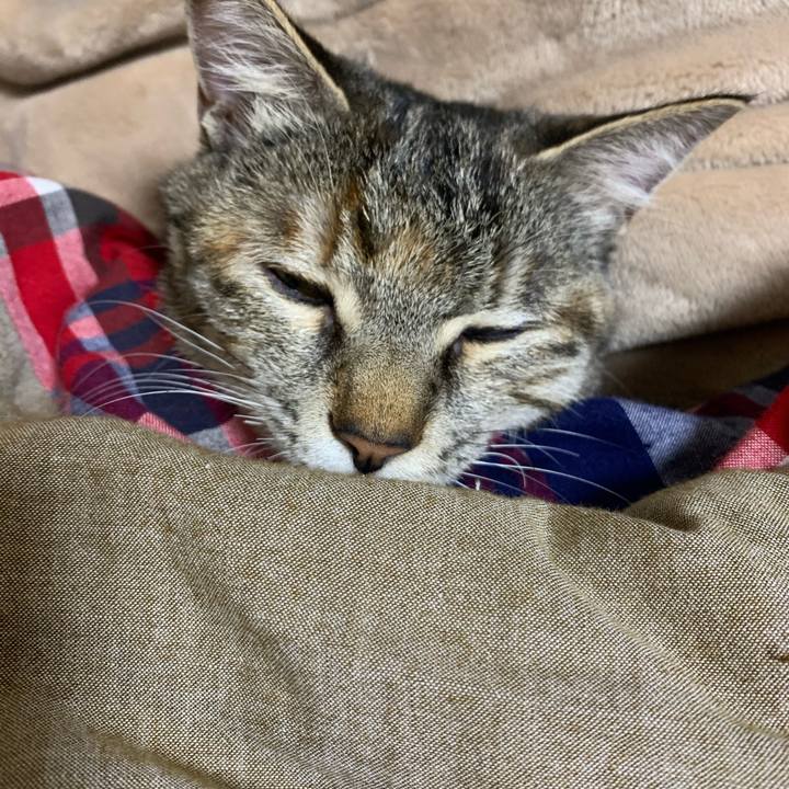 29a76532 69dc 4554 a94b 8e92e733ab3d 1609498788917