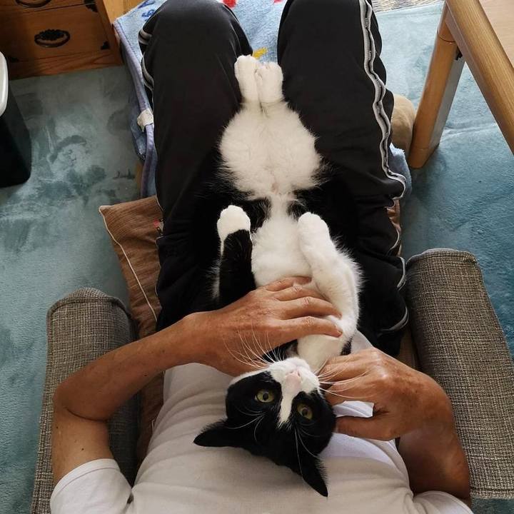 29a77b6a fd21 437e afd6 2b78ecff7cf0 1633833750038