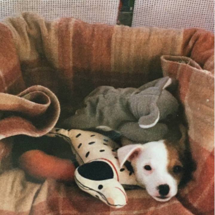 29a77fc3 9bd4 4185 aa2b 022fffe1c49c 1772380039663