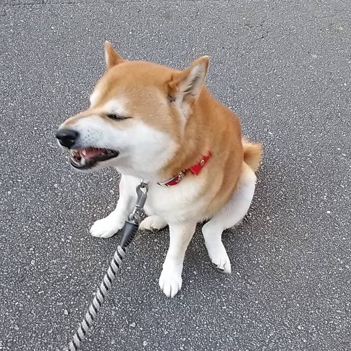 29a792e6 ef90 4b23 ae24 6ff672cf3aec 1621641064954