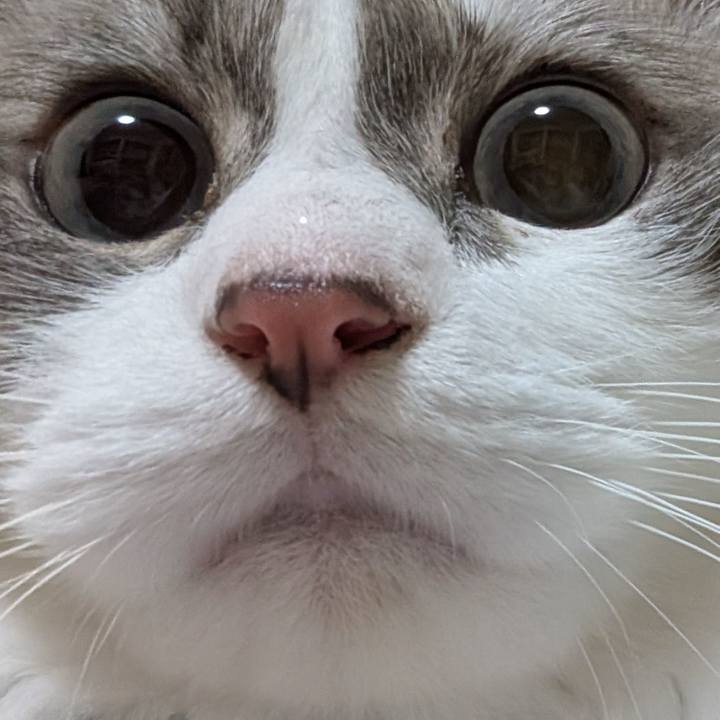 29a7b8de 7765 467f a50b 9dbab5b5191d 1769808709844