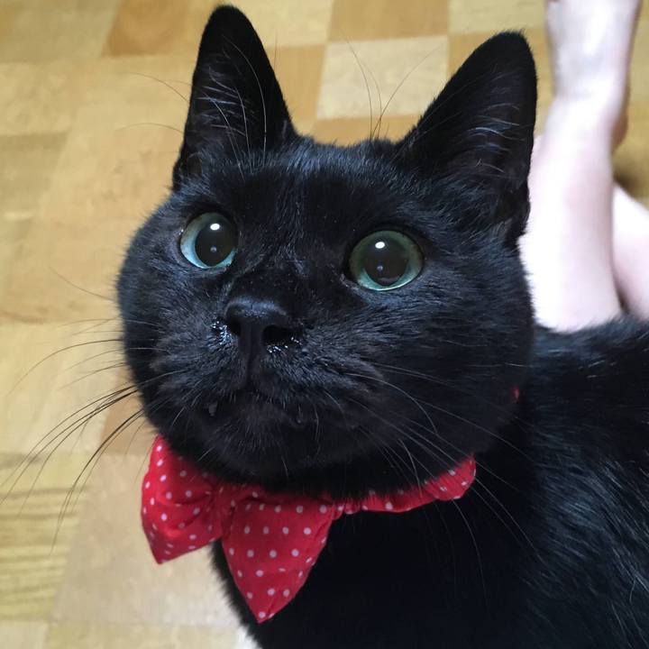 29a801fc bcd0 476d bbd7 590130239331 1660743811712