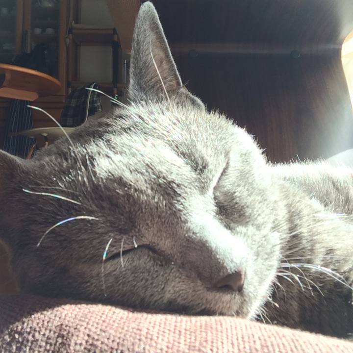 29a81a65 97c2 4192 a559 b4ccaa77cf4b 1540084609503