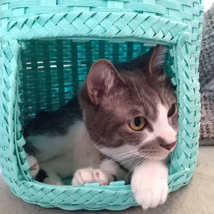 29a81f00 21fc 4d5e 93c1 e3fc7946b487 1613183030104